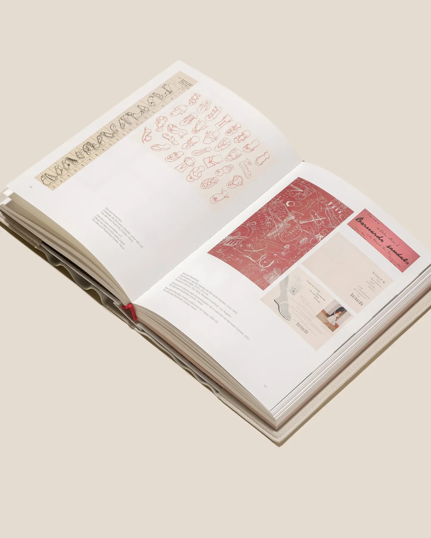 Hereu Studio Books & Magazines<BERNARD RUDOFSKY