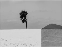 Hereu Studio Books & Magazines<ILLA